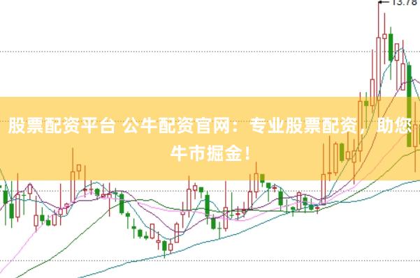 股票配资平台 公牛配资官网：专业股票配资，助您牛市掘金！