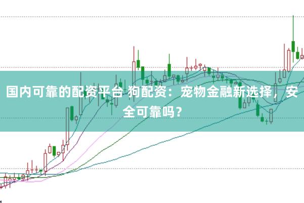 国内可靠的配资平台 狗配资:宠物金融新选择,安全可靠吗?