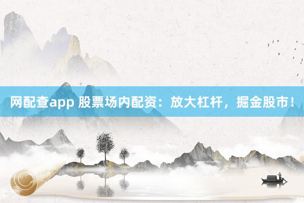 网配查app 股票场内配资：放大杠杆，掘金股市！
