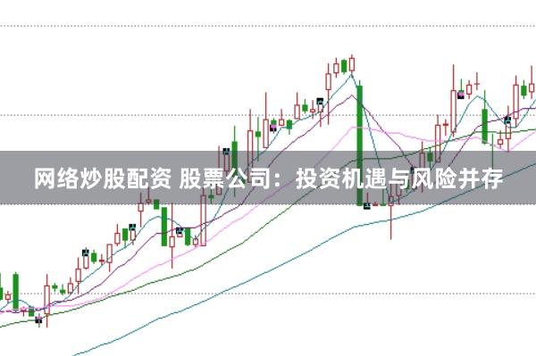 网络炒股配资 股票公司:投资机遇与风险并存