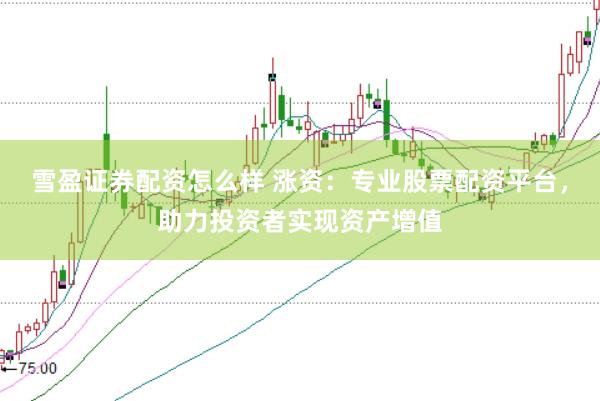 雪盈证券配资怎么样 涨资：专业股票配资平台，助力投资者实现资产增值