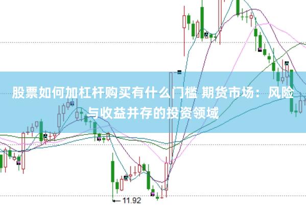 股票如何加杠杆购买有什么门槛 期货市场：风险与收益并存的投资领域