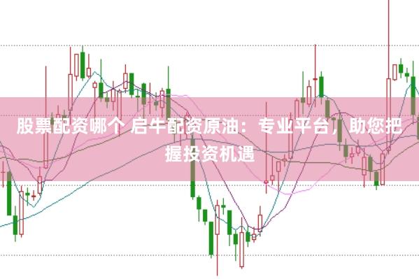 股票配资哪个 启牛配资原油:专业平台,助您把握投资机遇