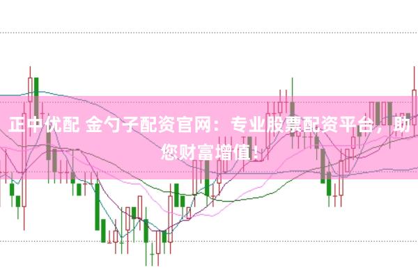 正中优配 金勺子配资官网:专业股票配资平台,助您财富增值!
