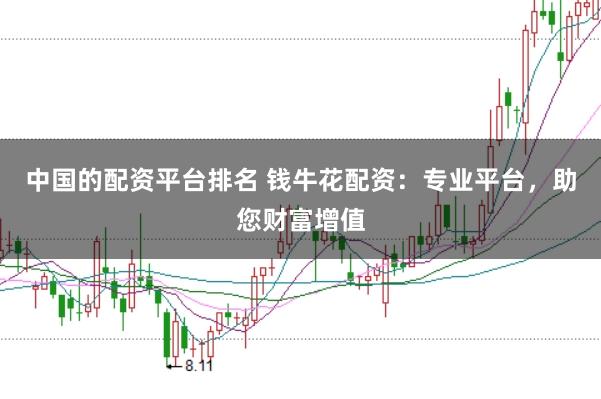 中国的配资平台排名 钱牛花配资：专业平台，助您财富增值