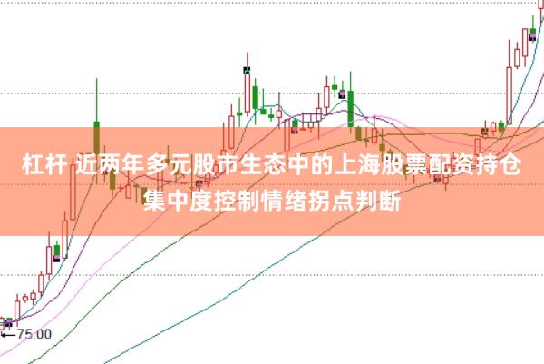 杠杆 近两年多元股市生态中的上海股票配资持仓集中度控制情绪拐点判断