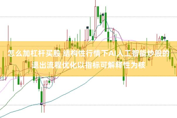 怎么加杠杆买股 结构性行情下AI人工智能炒股的退出流程优化以指标可解释性为核
