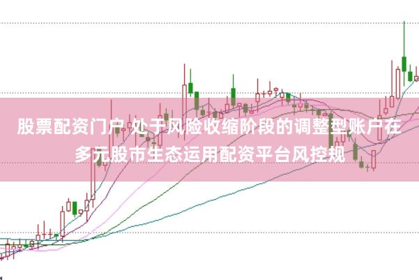 股票配资门户 处于风险收缩阶段的调整型账户在多元股市生态运用配资平台风控规
