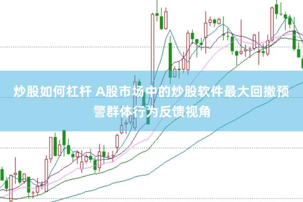 炒股如何杠杆 A股市场中的炒股软件最大回撤预警群体行为反馈视角
