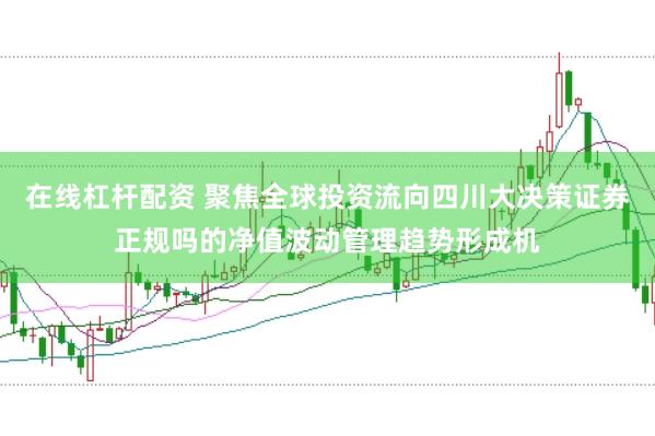 在线杠杆配资 聚焦全球投资流向四川大决策证券正规吗的净值波动管理趋势形成机