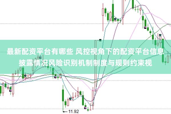 最新配资平台有哪些 风控视角下的配资平台信息披露情况风险识别机制制度与规则约束视