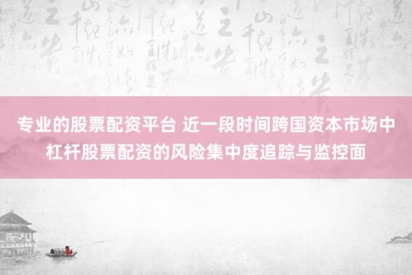 专业的股票配资平台 近一段时间跨国资本市场中杠杆股票配资的风险集中度追踪与监控面