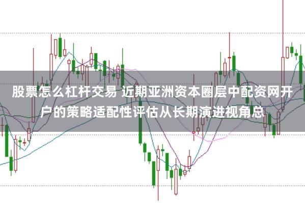 股票怎么杠杆交易 近期亚洲资本圈层中配资网开户的策略适配性评估从长期演进视角总