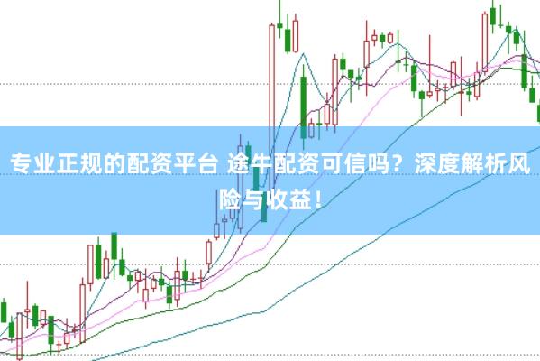 专业正规的配资平台 途牛配资可信吗？深度解析风险与收益！