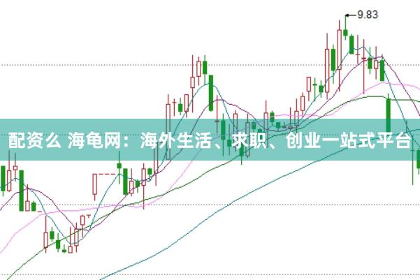 配资么 海龟网：海外生活、求职、创业一站式平台
