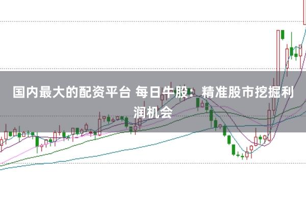 国内最大的配资平台 每日牛股：精准股市挖掘利润机会
