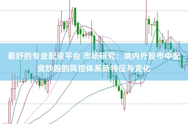 最好的专业配资平台 市场研究：境内外股市中配资炒股的风控体系新特征与变化