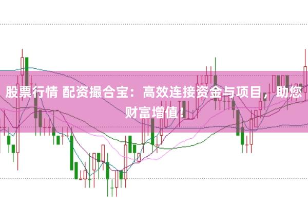 股票行情 配资撮合宝：高效连接资金与项目，助您财富增值！