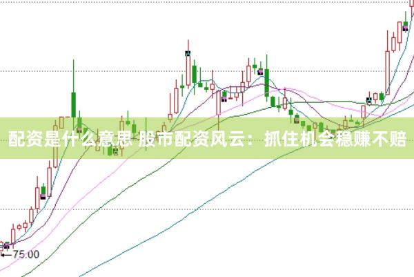 配资是什么意思 股市配资风云：抓住机会稳赚不赔