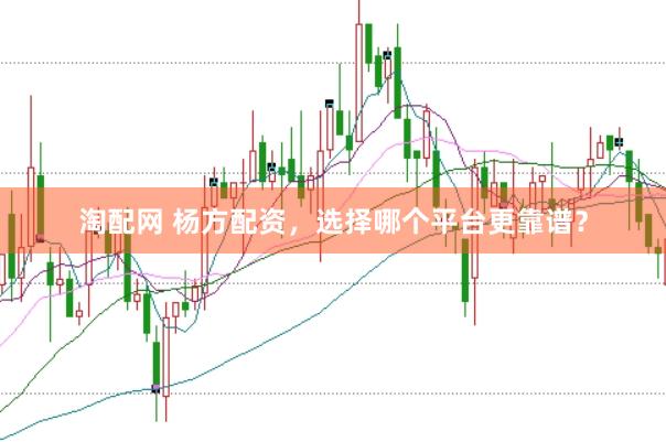 淘配网 杨方配资，选择哪个平台更靠谱？