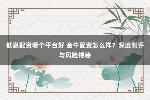 低息配资哪个平台好 金牛配资怎么样？深度测评与风险揭秘