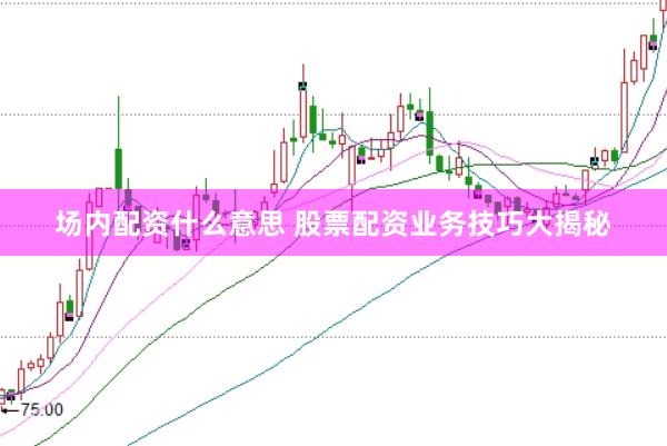 场内配资什么意思 股票配资业务技巧大揭秘