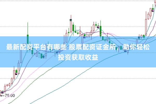 最新配资平台有哪些 股票配资证金所，助你轻松投资获取收益
