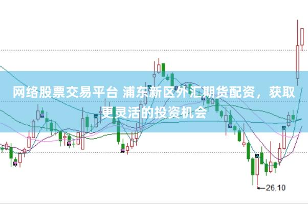 网络股票交易平台 浦东新区外汇期货配资，获取更灵活的投资机会
